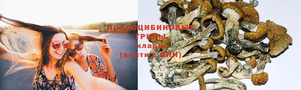 амфетамин Новодвинск