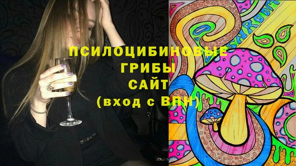 соль курить ск Новозыбков